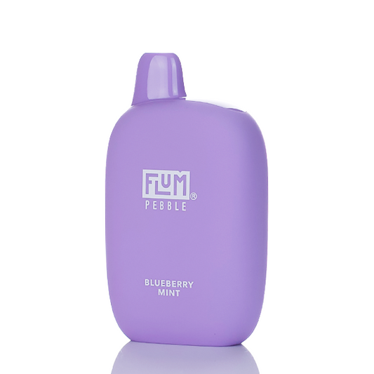 Flum Pebble Blueberry Mint