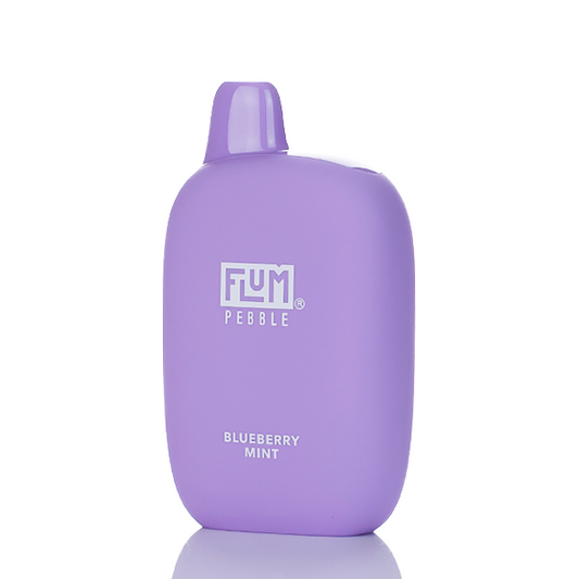 Flum Pebble - Blueberry Mint